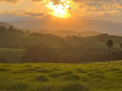 Softening And Appreciating The Body