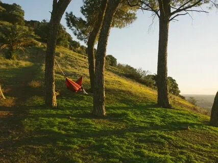 Softening Anxiety In Times Of Uncertainty 