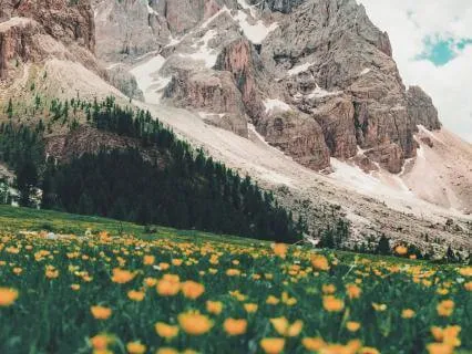 Softening Around Tension