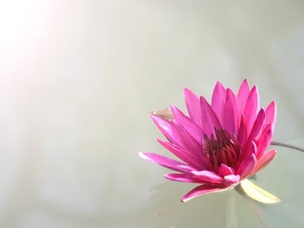 Softening Around The Habit Of Smoking 