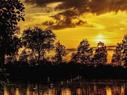 Softening Fear, Finding Safety