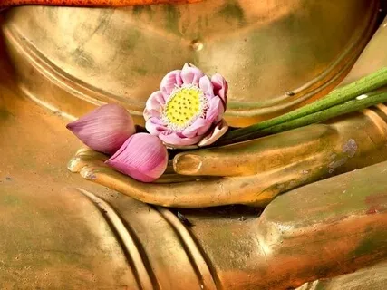 Softening For Balance & Strength/Somatic Movement Practice