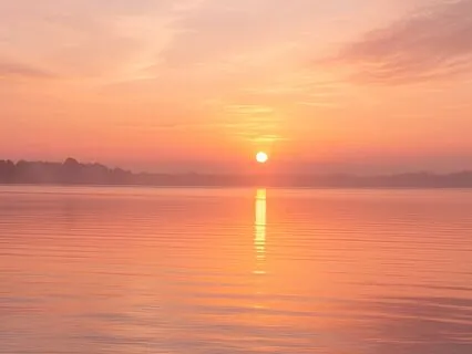 Softening Into Alignment: Returning To Clarity