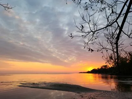 A practice of self compassion for the hard days