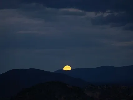 Softening Into Sleep