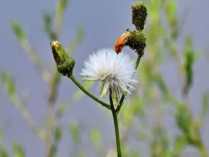 Softening Perfectionism And Self-Criticism