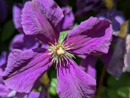 Softening Self-Criticism: A Quick Tapping Reset