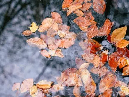 Softening The Body, Quieting The Mind