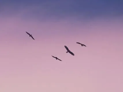 Softening The Edges: A Somatic Meditation For Chronic Pain