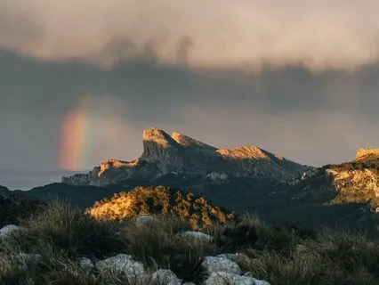 Softening The Edges Of Grief