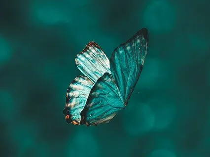 Softening The Edges Of Perfectionism: SOS (With Music)