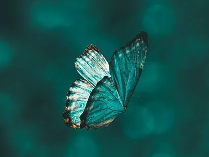 Softening The Edges Of Perfectionism: SOS