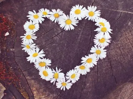 Softening The Hardening Of The Heart