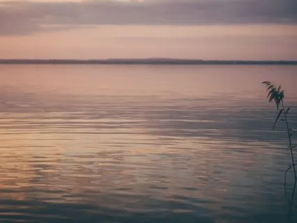 Softening The Inner Critic