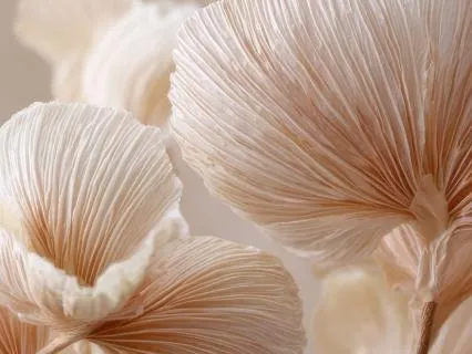 Deep Nervous System Unwinding - Softening The Inner Grip