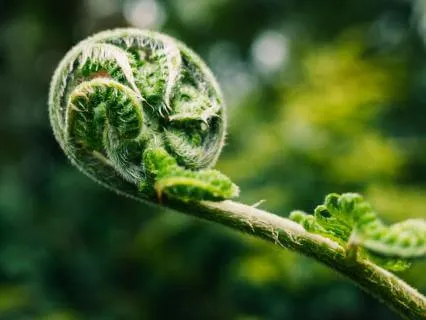 Softening The Self Blame
