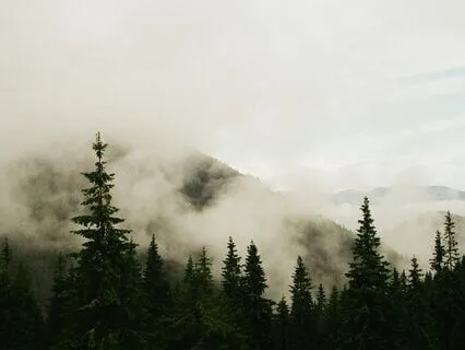 Softening Your Ego And Connecting With Your Higher Self