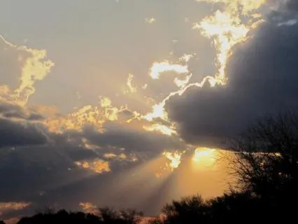 Softly, I Remember - Ambient Grief Music - Comfort At Night