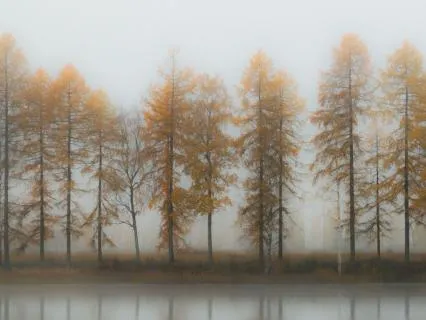 Softly Seeing