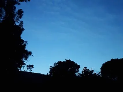 Softly Sleeping - Relaxed In 8 Minutes