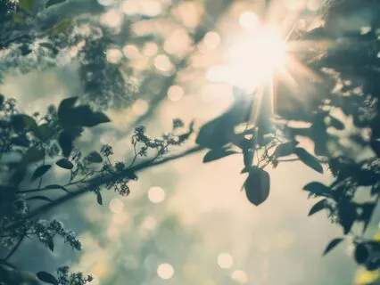 Softness In The Midst Of Suffering