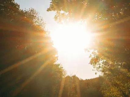 Softness Meditation For Depression