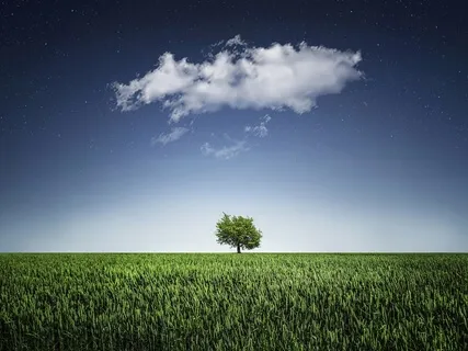 Соединение С Родом