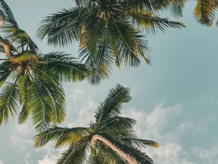 Soul Affirmations: Divine Creator I Need You At All Times