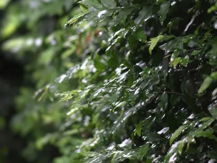 Blue: Solace For Grief & Loss