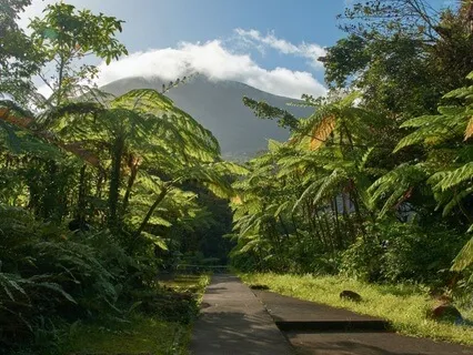 Solace Music For Relief