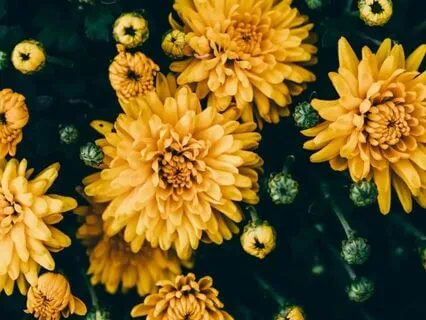 Solar Chakra Sounding: Self-Esteem, Personal Power