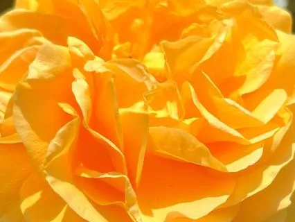 Solar Plexus Affirmation