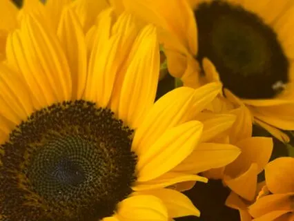 Solar Plexus Affirmations