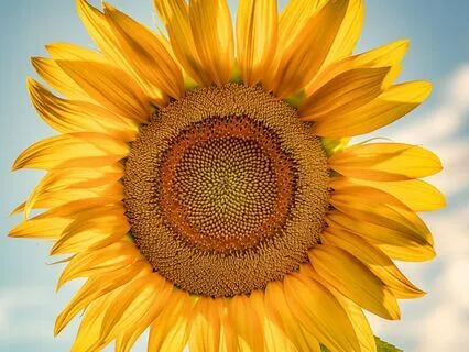 Solar Plexus Affirmations