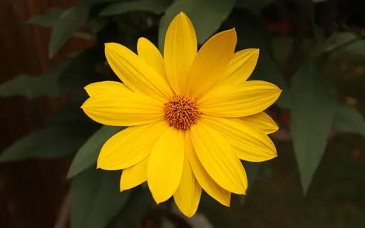 Solar Plexus Balancing + Clearing