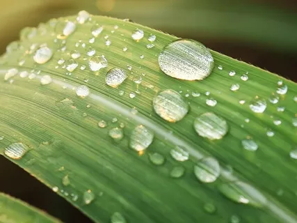 Correlating With Solar Plexus Chakra