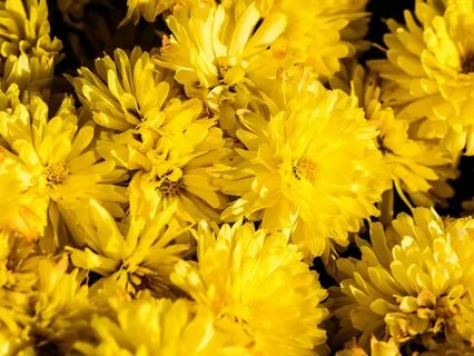 Solar Plexus Chakra  528Hz With Silent Affirmations