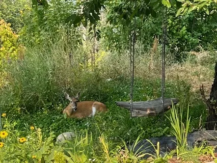 Solar Plexus Chakra Activation Instrumental