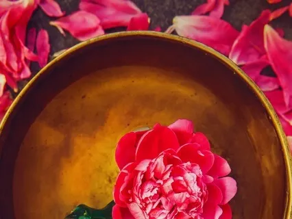 Solar Plexus Chakra: Adrenal and Gut Healing