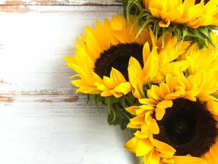 Solar Plexus Chakra Affirmations