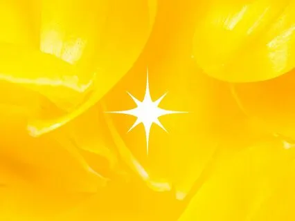 Solar Plexus Chakra Breathing Meditation