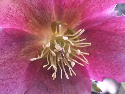 Solar Plexus Chakra, Frequency 364Hz Activates Intuition