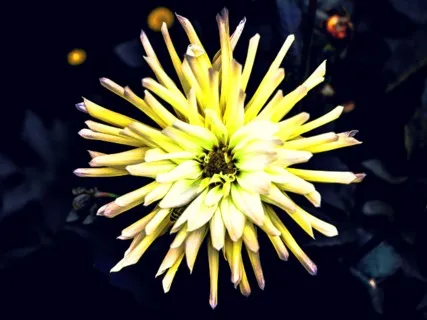 Solar Plexus Chakra - Heal, Open & Align