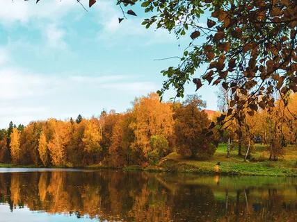 Solar Plexus Chakra Healing Meditation