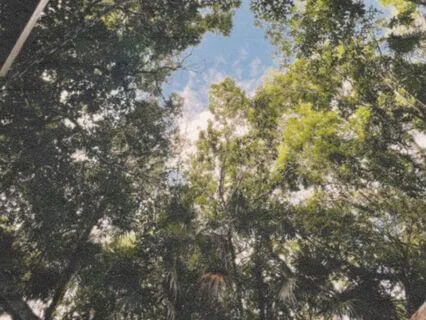 Solar Plexus Chakra Light Language Transmission