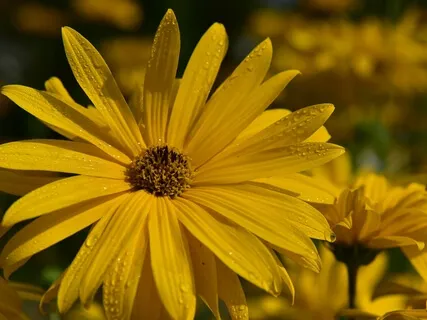 Solar Plexus Chakra Meditation