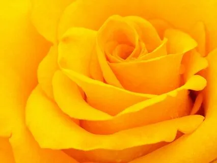 Solar Plexus Chakra Meditation For Business Success