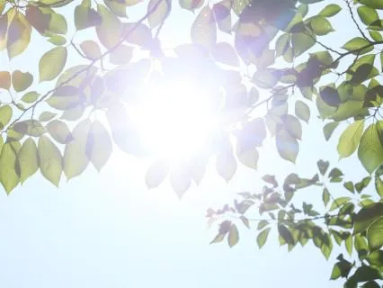 Solar Plexus Chakra Meditation | Inner Power & Authority