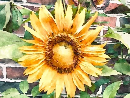 Solar Plexus Chakra Meditation-Self Empowerment