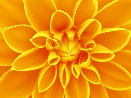 Solar Plexus Chakra Meditation - With Solfeggio Frequencies